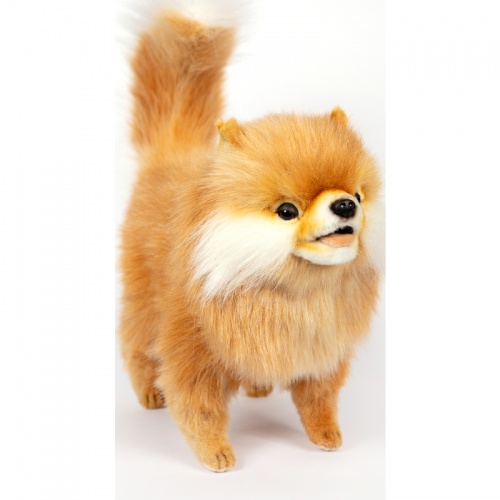 Pomeranian 48cmL Plush Soft Toy Dog by Hansa