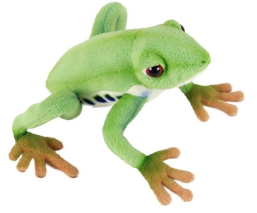 Red Eyed Tree Frog 17cm Realistic Soft Toy by Hansa