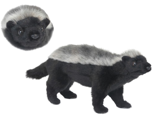 Ratel (Honey Badger) 33cm Realistic Soft Toy by Hansa