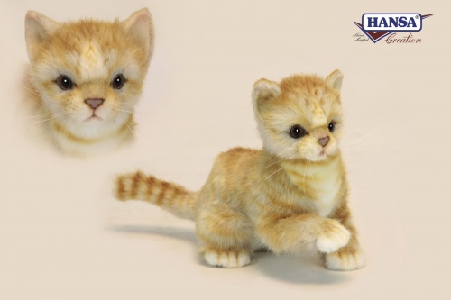 Kitten Ginger 20cmL Plush Soft Toy by Hansa