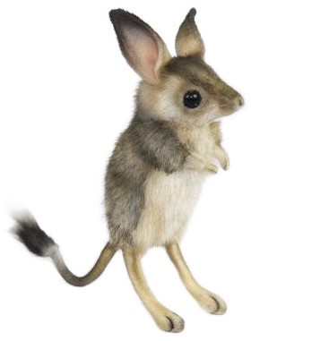 Jerboa 19cm Realistic Soft Toy by Hansa
