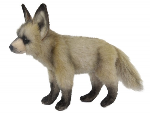 Bat-eared Fox 25cm Realistic Soft Toy by Hansa