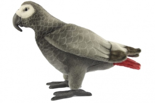 African Grey Parrot 23cm Realistic Soft Toy by Hansa