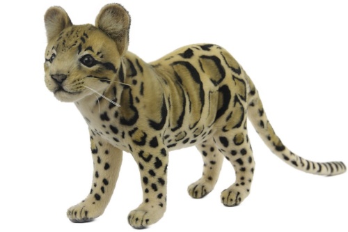 Clouded Leopard Standing 49cm Realistic Soft Toy by Hansa