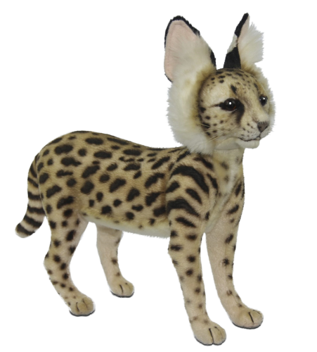 Serval Standing 19cm Realistic Soft Toy by Hansa