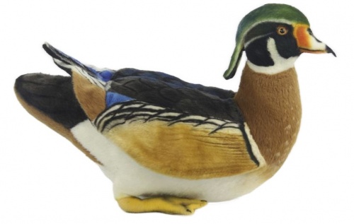 Wood Duck 28cm Realistic Soft Toy by Hansa