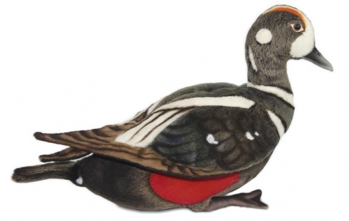 Harlequin Duck 30cm Realistic Soft Toy by Hansa