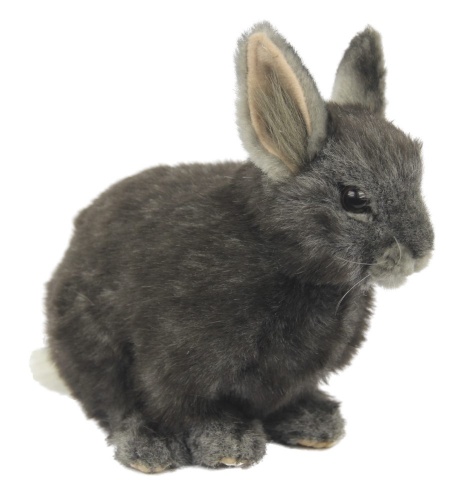 Pygmy Rabbit Grey 18cm Realistic Soft Toy by Hansa