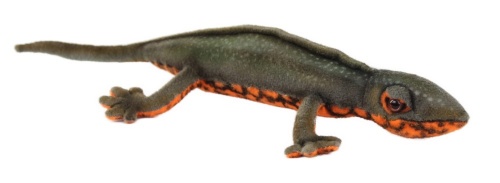 Japanese Newt 23cm Realistic Soft Toy by Hansa