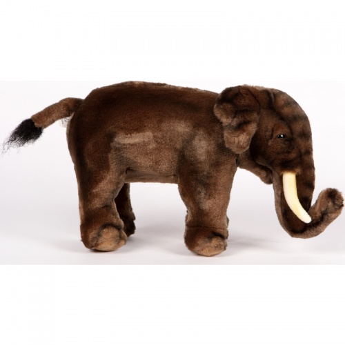 Asian Elephant 29cm Realistic Soft Toy by Hansa