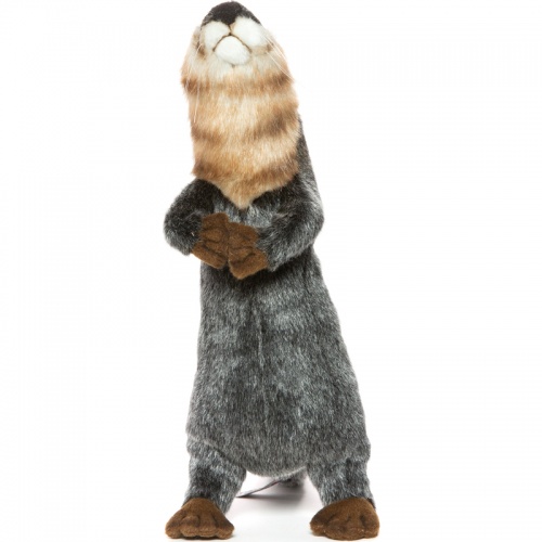 Otter Standing 36cm Realistic Soft Toy by Hansa