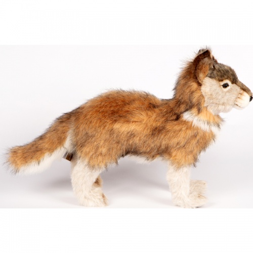 Grey Wolf Cub Standing 44cmL Plush Soft Toy by Hansa