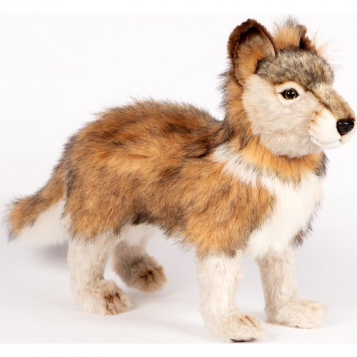 Hansa wolf shop