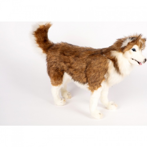 Siberian Husky 40cmL Plush Soft Toy by Hansa