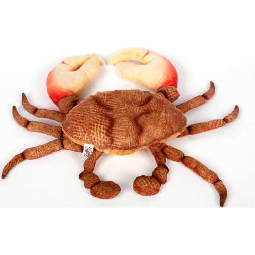 Orange Crab 38cm Realistic Soft Toy by Hansa