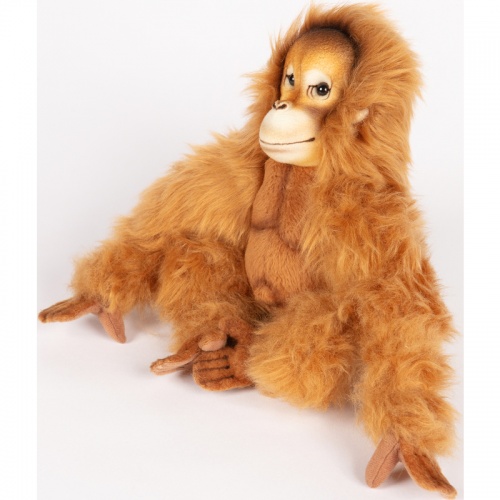 Orangutan 20cm Realistic Soft Toy by Hansa