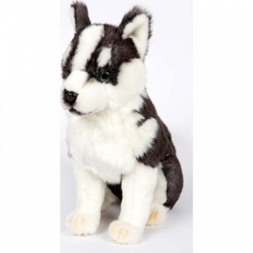 Husky Puppy Sitting 33cm Realistic Soft Toy by Hansa