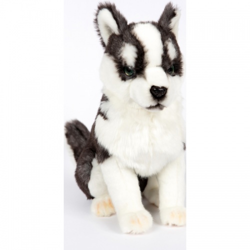 Husky Puppy Sitting 33cm Realistic Soft Toy by Hansa