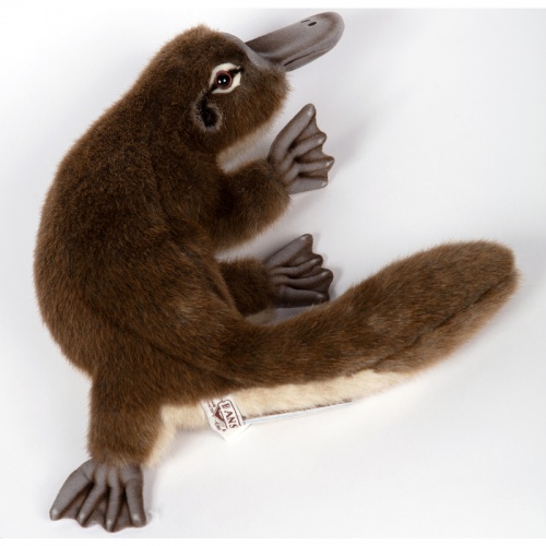 Platypus 38cm Realistic Soft Toy by Hansa