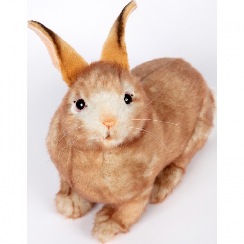 Bunny Rabbit Cream 35cm Realistic Soft Toy by Hansa