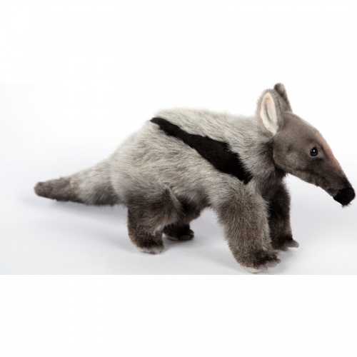 Giant Anteater 35cm Realistic Soft Toy by Hansa