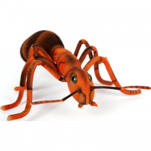 Ant 23cm Realistic Soft Toy by Hansa
