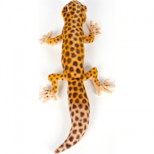 Leopard Gecko 26cm Realistic Soft Toy by Hansa