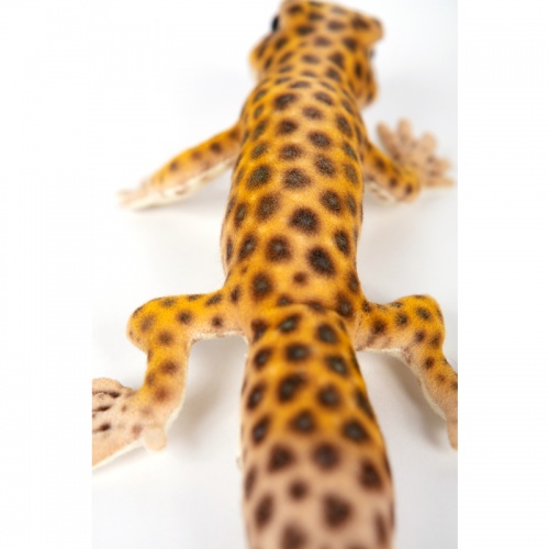 Leopard Gecko 26cm Realistic Soft Toy by Hansa
