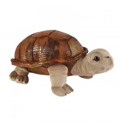 Giant Tortoise 32cm Plush Soft Toy by Ravensden