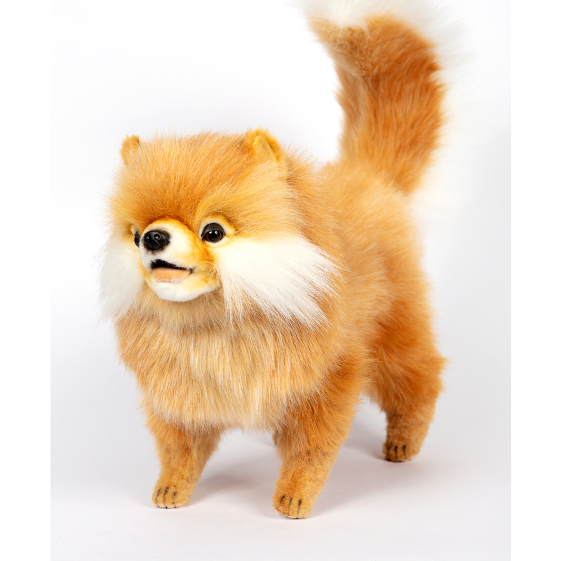 Pomeranian 48cmL Plush Soft Toy Dog by Hansa