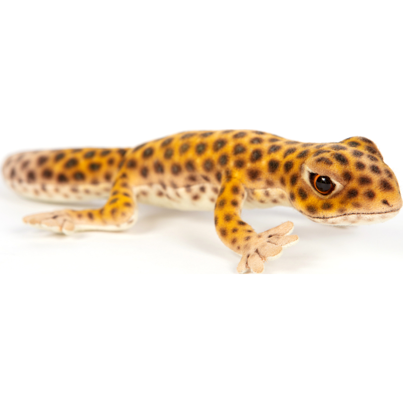 Leopard Gecko 26cm Realistic Soft Toy by Hansa