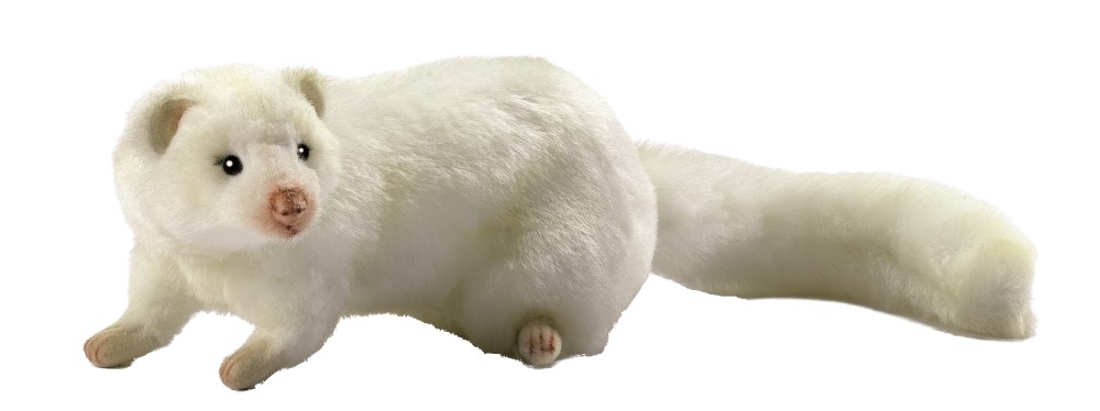White Ferret 23cm Realistic Soft Toy by Hansa
