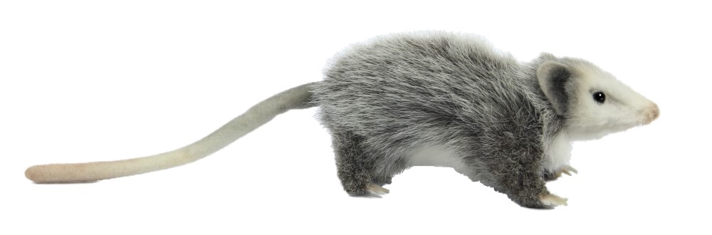 Opossum 23cm Realistic Soft Toy by Hansa