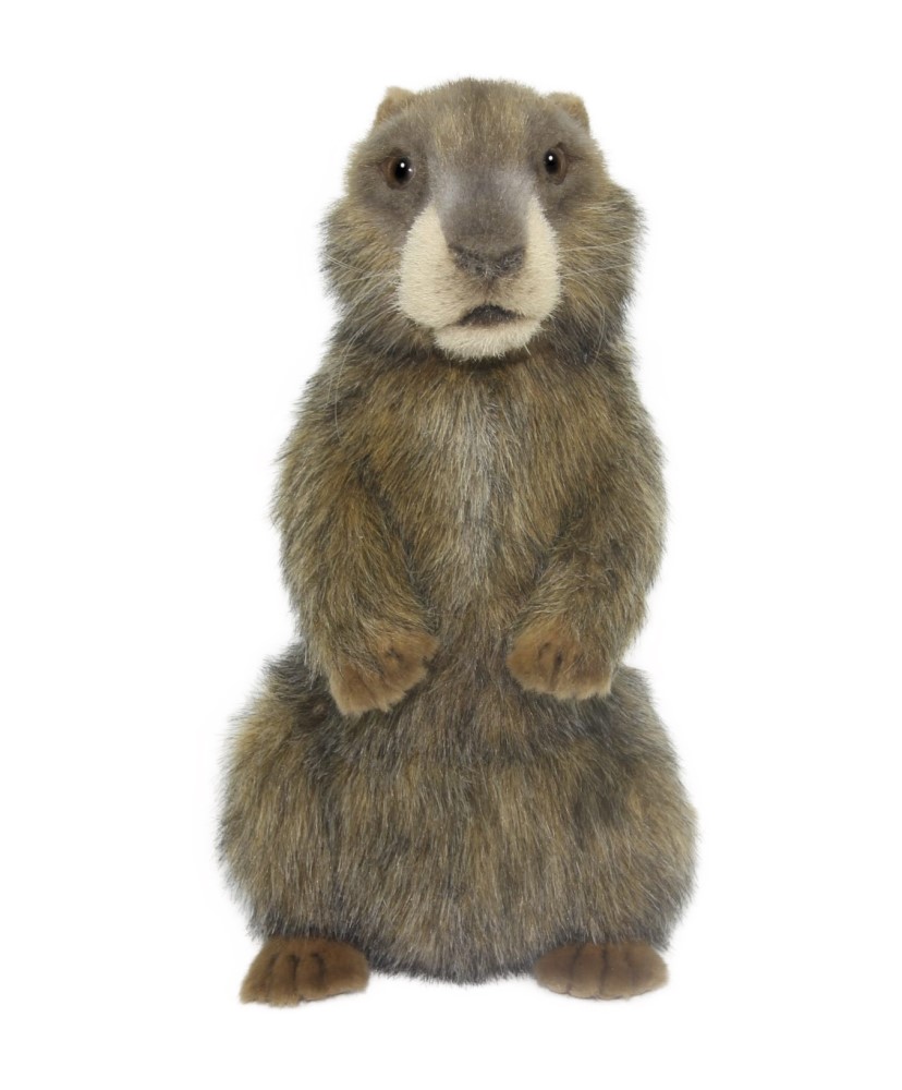 Alpine Marmot 29cm Realistic Soft Toy by Hansa